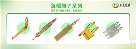 鱼眼端子