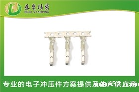 新能源汽车母端子2