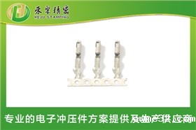 新能源汽车母端子3