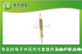 鱼眼pin针